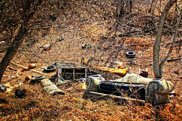 Illegal Dumping near Alta Vista