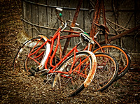 2253j1 Old Bikes at Cosgrove Farm 1