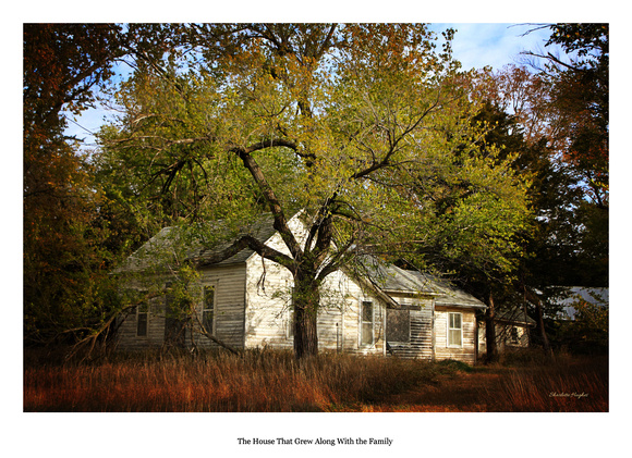 The House that Grew along with the Family