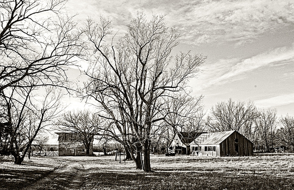 Americus Road Barns in Black and white