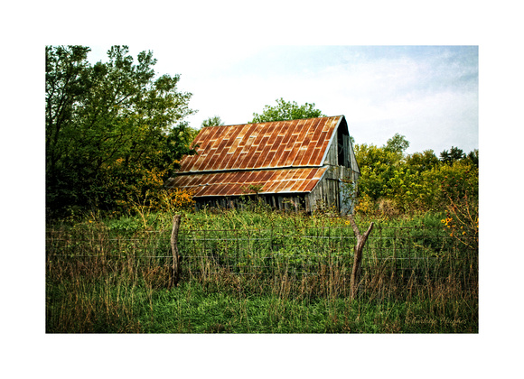 Mr. Fred's Barn in Summer of 2012 Bordered