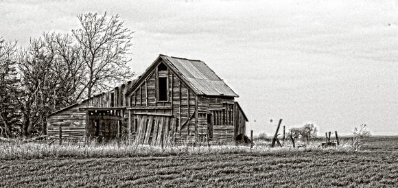 Old Barn on Q Avenue 1 A