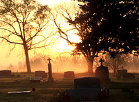 Cemetery Fog 1