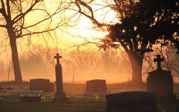 Cemetery Fog 2