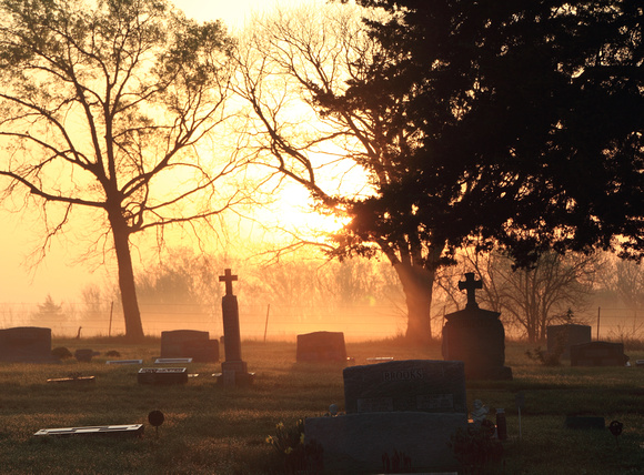 Cemetery Fog 1