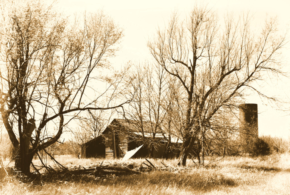 Old Barn at the Old Yellow Farmhouse in Sepia