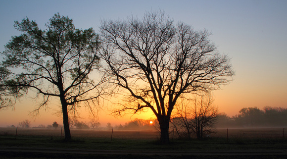 Foggy Sunrise 2