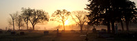 Cemetery in Fog 1