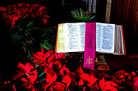 Bible and Poinsettias