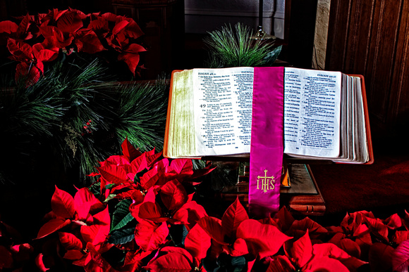 Bible and Poinsettias